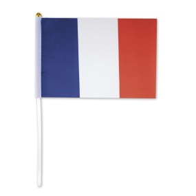 3331421-drapeau-france-14x21cm