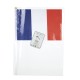 DRAPEAU FRANCE 14X21CM