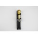 SCEPTRE EGYPTIEN