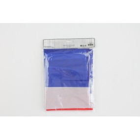 DRAPEAU FRANCE 60x90CM