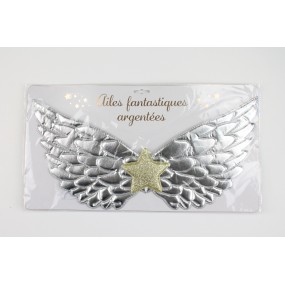 AILES FANTASTIQUES ARGENTEES