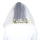 9124135 voile de mariée EVJF Bride to be
