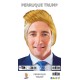 PERRUQUE DONALD TRUMP