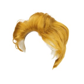 PERRUQUE DONALD TRUMP