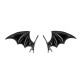 BARRETTES AILES NOIRES X2
