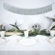 GUIRLANDE FRANGES LAMEES ARGENT