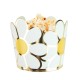 PETITS POTS MARGUERITES HIPPY PARTY X 8
