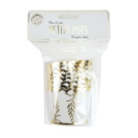 PETITS POTS FOUGERE WHITE X 8