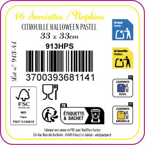 SERVIETTES CITROUILLE HALLOWEEN PASTEL 33X33CM X 16