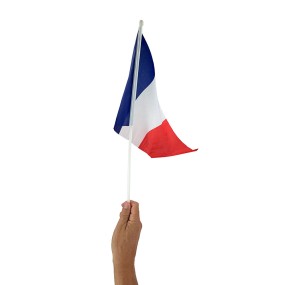 DRAPEAU FRANCE 30X45CM