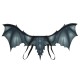 AILES DU DRAGON