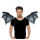 AILES DU DRAGON