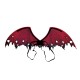 AILES DU DEMON