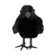 CORBEAU DECORATIF