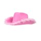 CHAPEAU COWGIRL PINK PLUME
