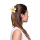PINCE A CHEVEUX HAWAI
