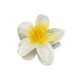 PINCE A CHEVEUX HAWAI