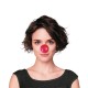 NEZ DE CLOWN X 25