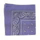 BANDANA PARME
