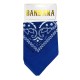 BANDANA BLEU ROI