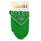 BANDANA VERT