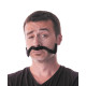 MOUSTACHE CHINOISE NOIRE