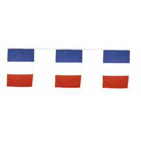 Guirlande drapeaux tricolore 10m