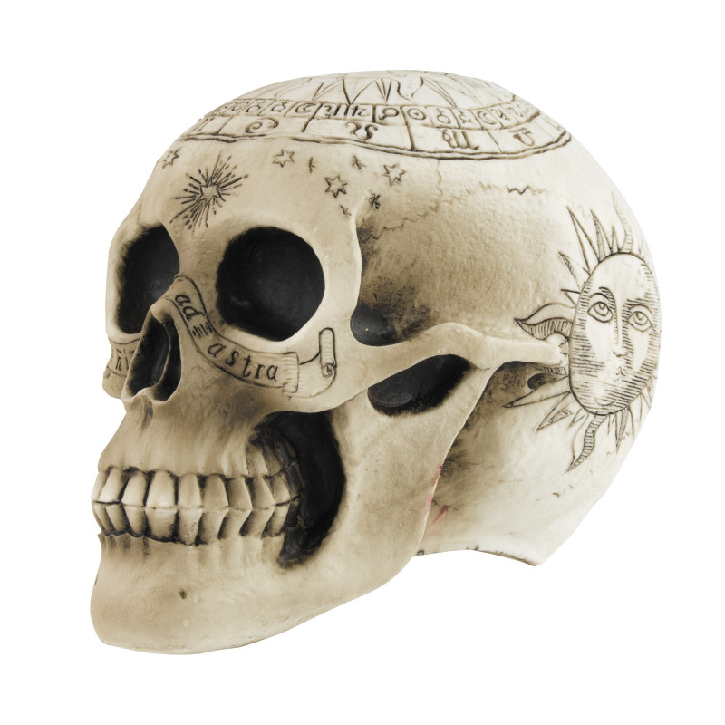 Biomar Labs® 3D Metal Porte-clés Skull Middle Finger Crâne Majeur MГ©dius  Tête de Mort Cadeau pour Homme et Femme KK 161