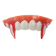 Dentiers